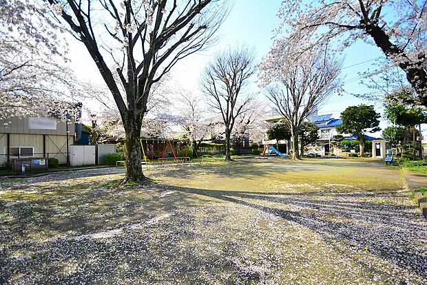 西平岡公園まで約650m