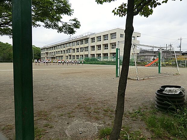 日野市立仲田小学校　距離約270m