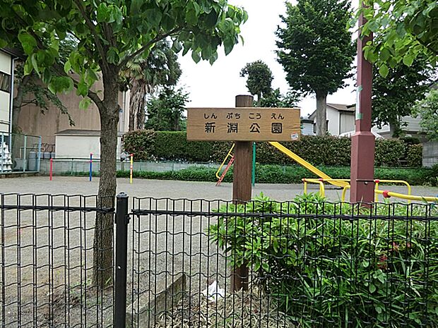 新淵公園 距離約900m
