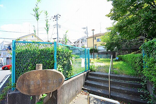 周辺を拡大表示