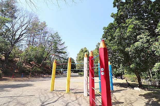 白鳥公園　距離約25m