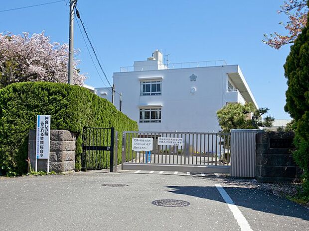 伊勢原市立桜台小学校 距離約300m