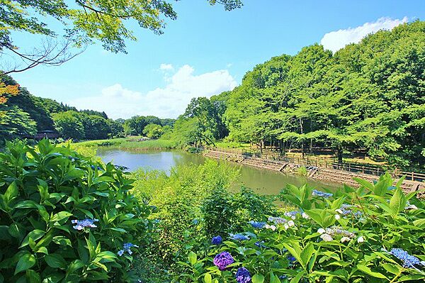 泉の森　距離約140m