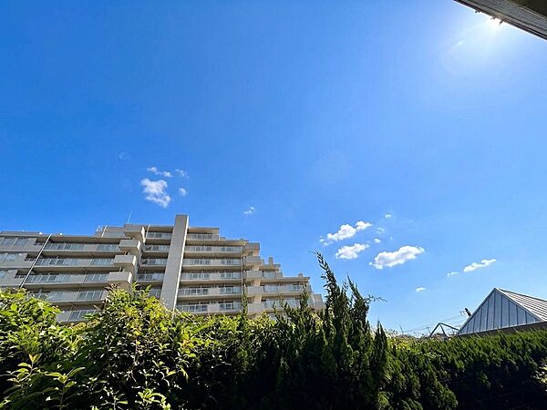 青空の下に見える集合住宅の外観と緑の植栽
