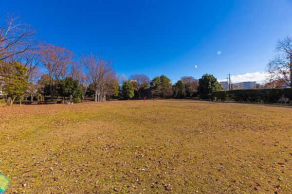 山崎自然公園　距離約700m