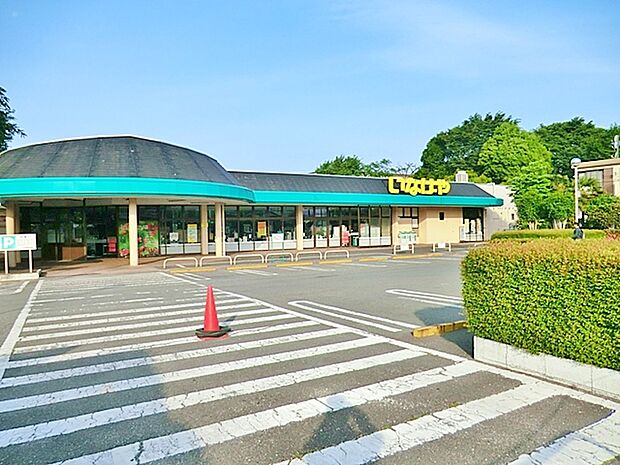 ina21　相模原下九沢店　距離約800m
