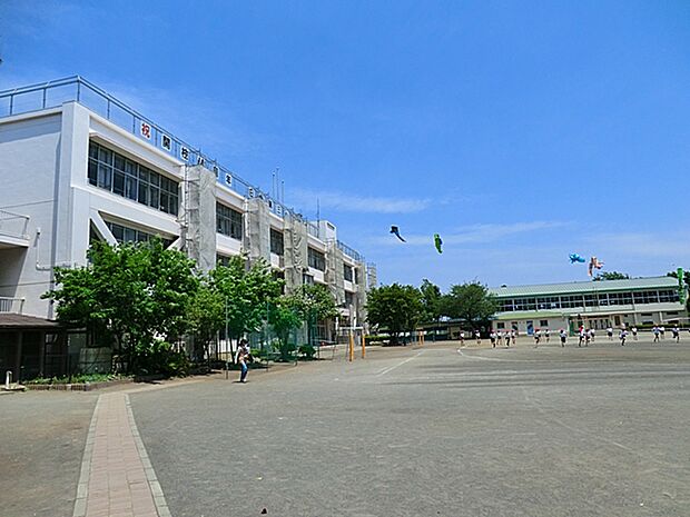 日野市立第三小学校まで約1200m