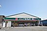 周辺：ドラッグセイムス　日吉店まで約1000m
