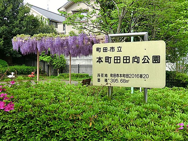 本町田田向公園 距離約1000m