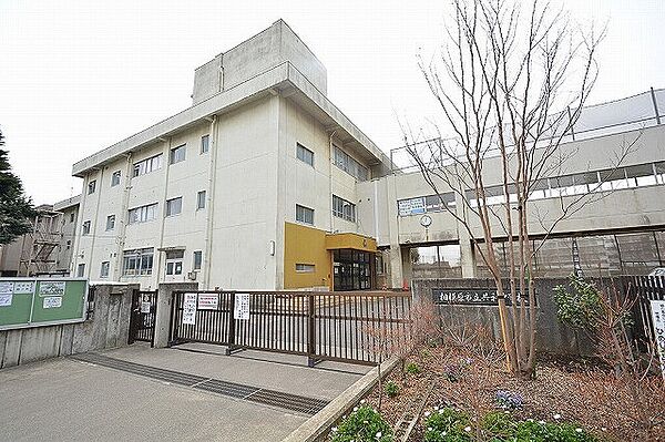 相模原市立共和中学校　距離約900m