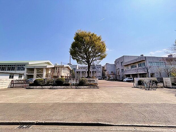 相模原市立東林中学校まで約550m