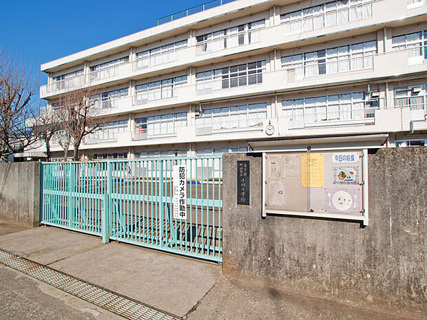 町田市立小川小学校まで約550m