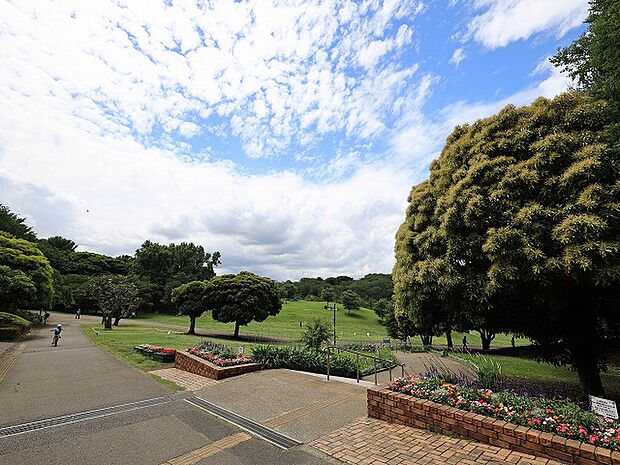 根岸森林公園 距離約850m