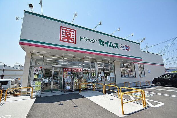 ドラッグセイムス 相模原上溝店 距離約650m