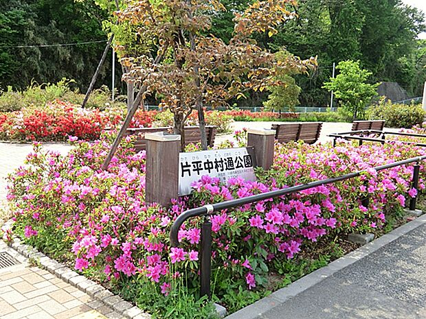片平中村通公園まで約400m