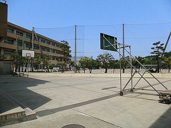 藤沢市立大清水中学校　距離約1600m