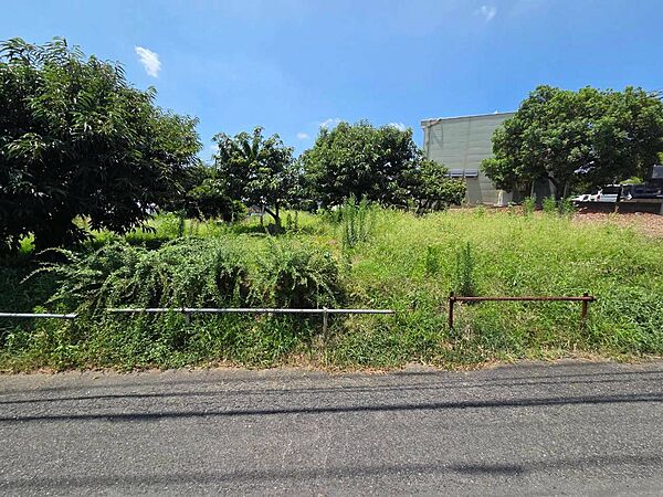 ◇お気軽にお問い合わせください。◇