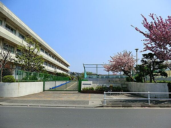 町田市立大蔵小学校　距離約1100m