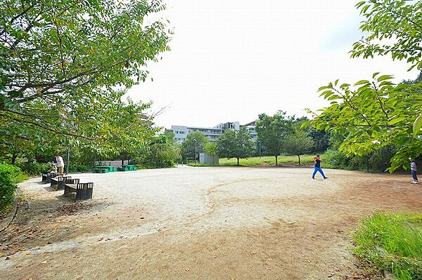宮前美しの森公園　距離約450m
