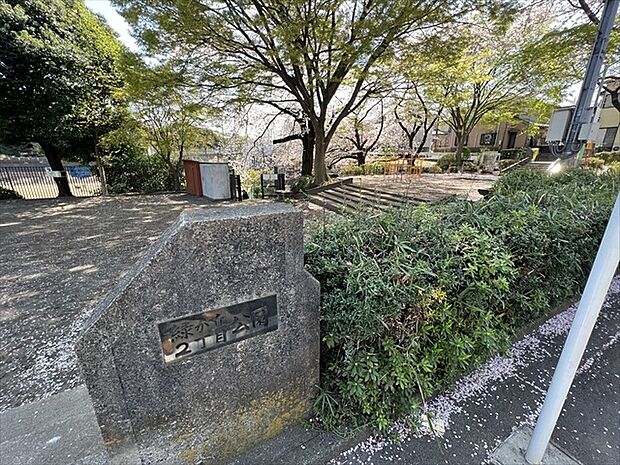 緑が丘2丁目公園 距離約500m
