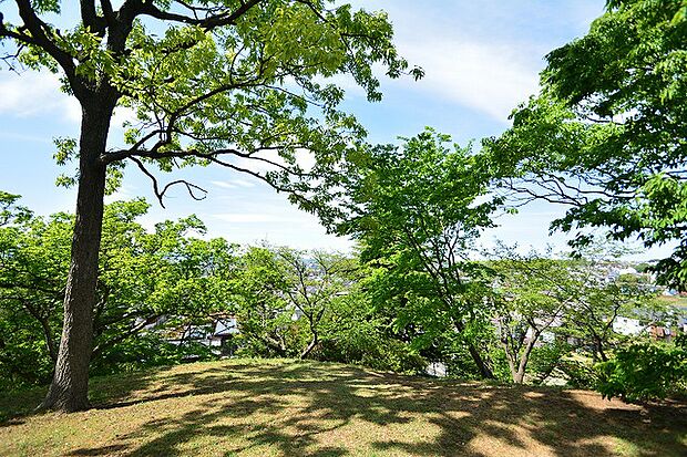 瓢箪塚(ひょうたん山・国造塚)古墳まで約190m