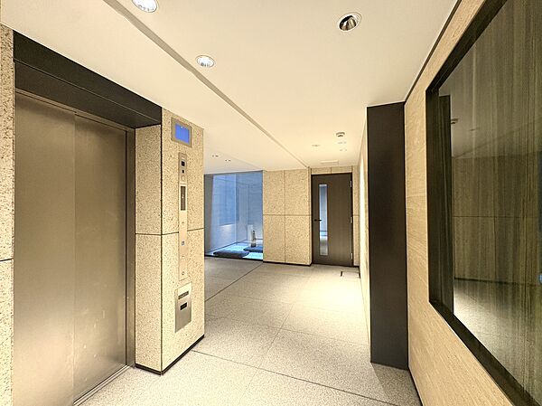 高級感のあるエレベーターホールと共用通路の様子です