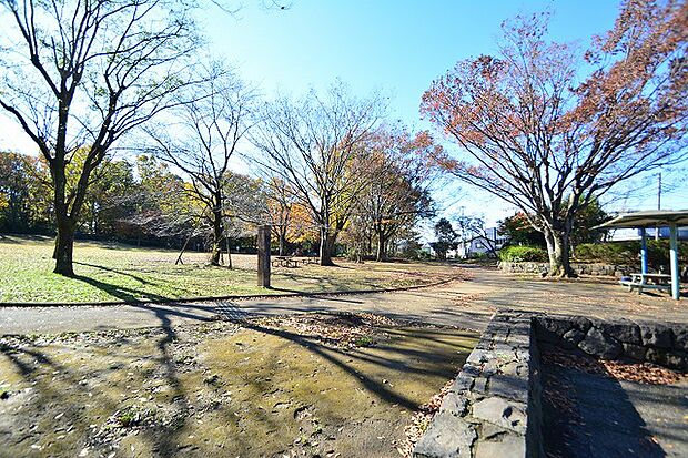 大塚公園 距離約500m