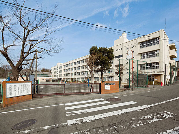 横浜市立山下小学校 距離約1300m