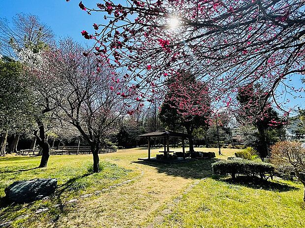 石川東公園まで約750m