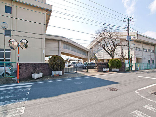 相模原市立麻溝台中学校 距離約260m