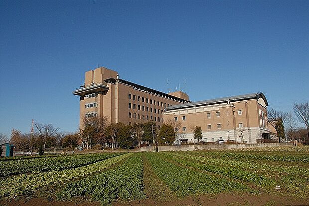 綾瀬市役所 距離約1100m