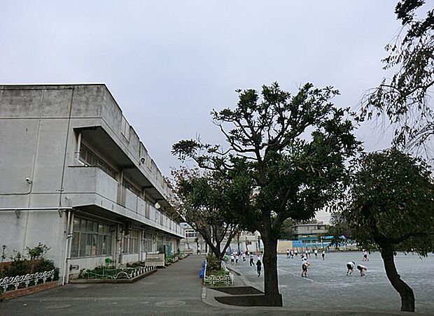 横浜市立二つ橋小学校 距離約1100m