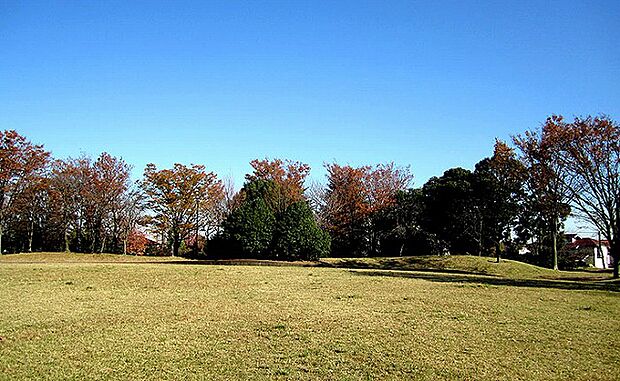 小黒公園 距離約450m