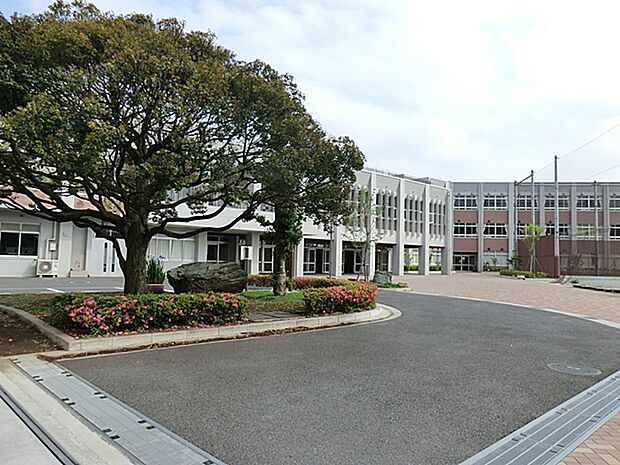 藤沢市立第一中学校 距離約500m