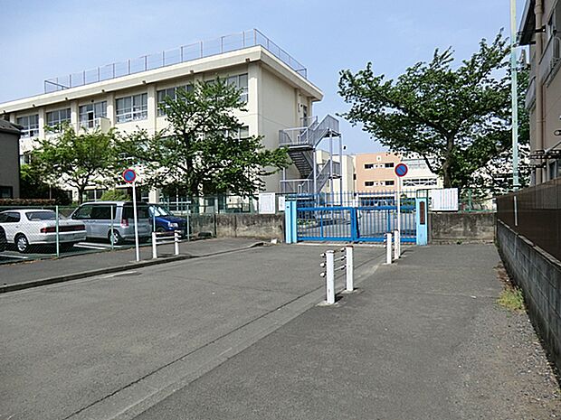 八王子市立第五小学校 距離約400m