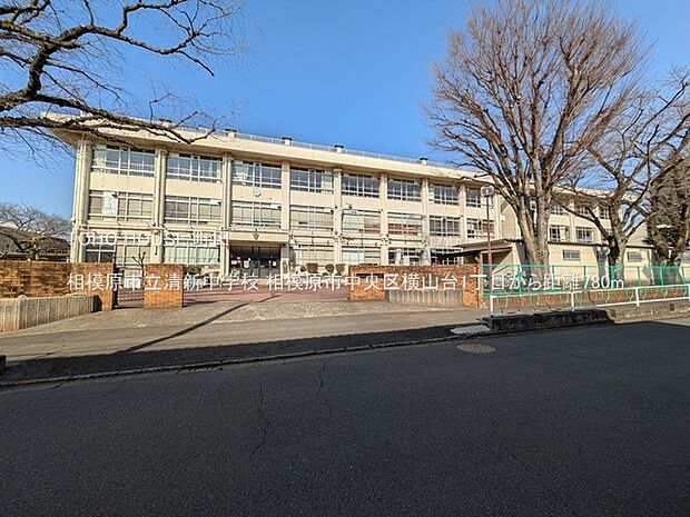 相模原市立清新中学校 780m