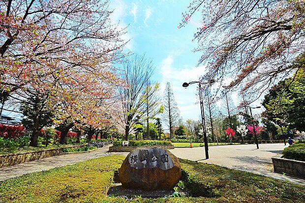 横山公園 距離約750m