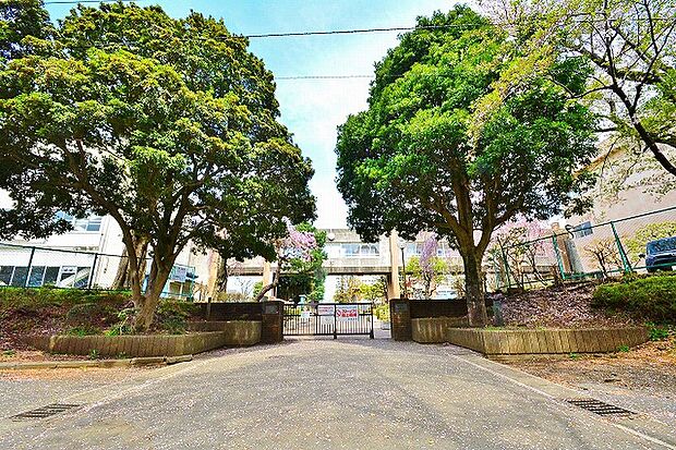 相模原市立上溝中学校 距離約1200m