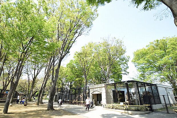 夢見ケ崎動物公園まで約1800m