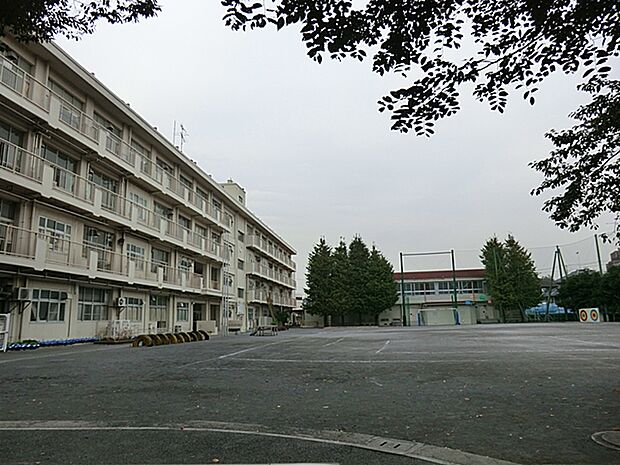 横浜市立瀬谷さくら小学校 距離約1000m