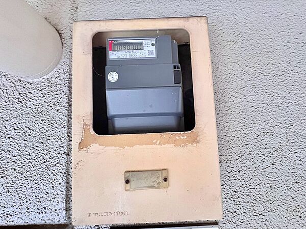 屋外に設置された電気メーターの様子です
