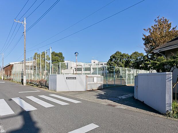 日野市立三沢中学校　距離約850m