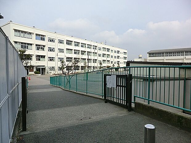 横浜市立笹野台小学校 距離約550m