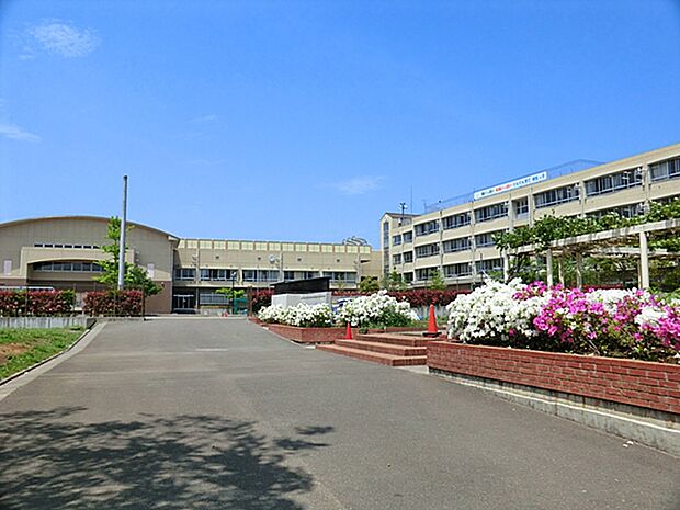 川崎市立柿生小学校　距離約50m