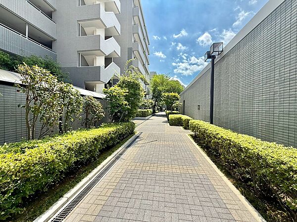 敷地内の緑豊かな歩道と周辺のマンション外観