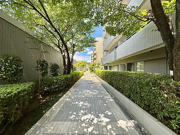 緑が豊かな歩道と建物外観の共用部です
