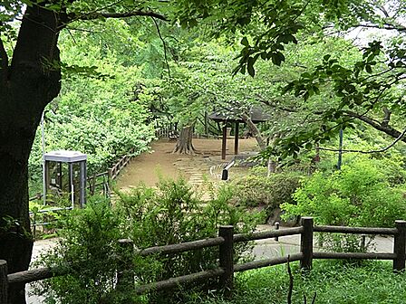 大倉山公園 距離約550m