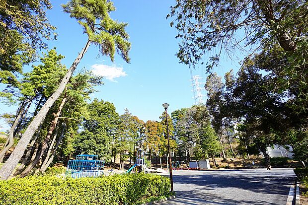 つつじが丘第一公園 距離約400m
