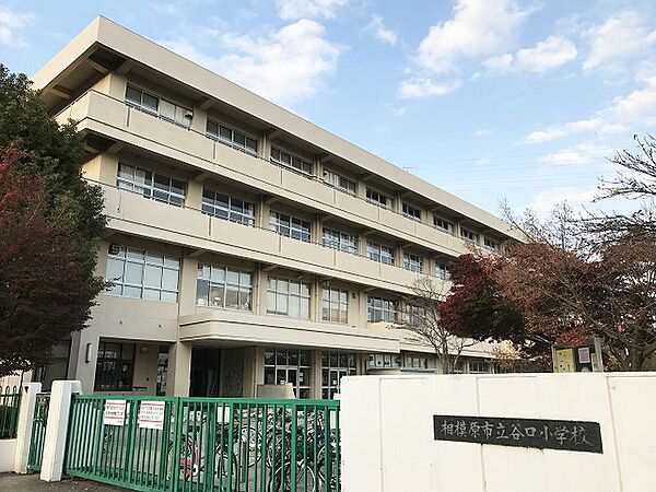 相模原市立谷口小学校まで約750m