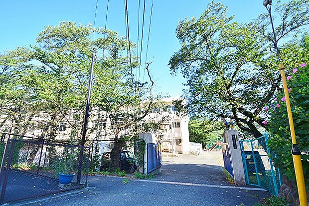 八王子市立由井第三小学校 距離約1200m